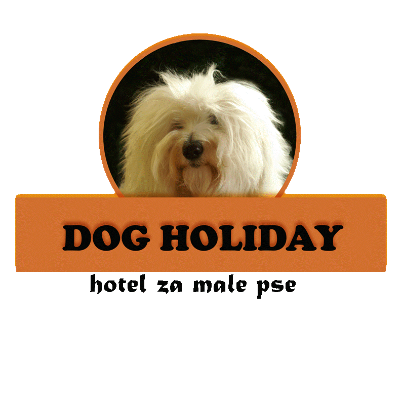 DOGHOLIDAYtransparent